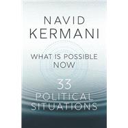 What is Possible Now 33 Political Situations