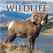 Rocky Mountain Wildlife 2020 Calendar