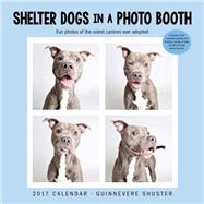 Shelter Dogs in a Photo Booth 2017 Wall Calendar