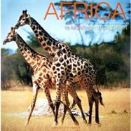 Africa 2010 Calendar