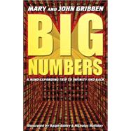 Big Numbers : A Mind-Expanding Trip to Infinity and Back