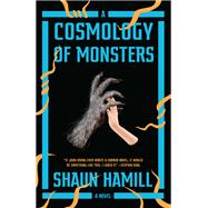 A Cosmology of Monsters A Novel