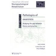 Pathologies of Awareness
