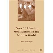 Peaceful Islamist Mobilization in the Muslim World What Went Right