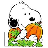 Baby Snoopy's Pumpkin