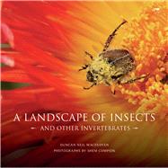 A Landscape of Insects And Other Invertebrates