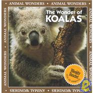 The Wonder of Koalas