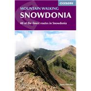 Mountain Walking in Snowdonia