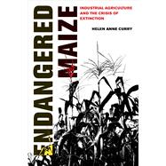 Endangered Maize