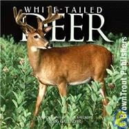 White-tailed Deer 2006 Calendar