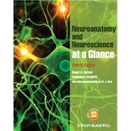 Neuroanatomy and Neuroscience at a Glance + Website