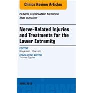 Nerve Related Injuries and Treatments for the Lower Extremity