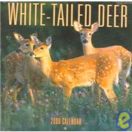 White-Tailed Deer 2006 Calendar