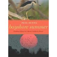 Bayshore Summer : Finding Eden in a Most Unlikely Place