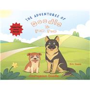 The Adventures of Doodle & PewPew Courageous Doodle