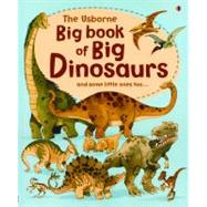 Big Book of Big Dinosaurs,9780794527709