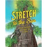 Stretch to the Sun From a Tiny Sprout to the Tallest Tree on Earth