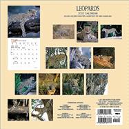 Leopards 2002 Calendar