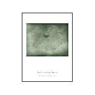 Vija Celmins : Prints 1962-2002