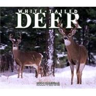 White-Tailed Deer Deluxe 2004 Calendar