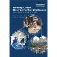 Scaling Urban Environmental Challenges