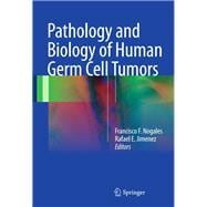 Pathology and Biology of Human Germ Cell Tumors