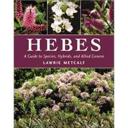 Hebes : A Guide to Species, Hybrids and Allied Genera