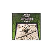 Aranas Cafe/Brown Recluse Spiders