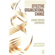 Effective Organizational Change: Leading Through Sensemaking