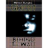 The Ghost Behind the Wall