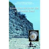 Palaeontological Association Field Guide to Fossils No. 13 : Fossils from the Lower Lias of the Dorset Coast