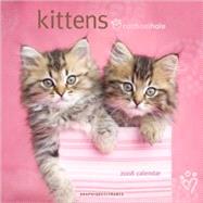 Kittens 2008 Calendar
