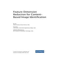 Feature Dimension Reduction for Content-based Image Identification