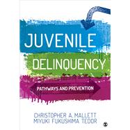 Juvenile Delinquency: Pathways and Prevention