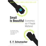 Small Is Beautiful: Economics as If People Mattered