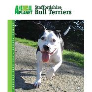 Staffordshire Bull Terriers