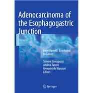 Adenocarcinoma of the Esophagogastric Junction