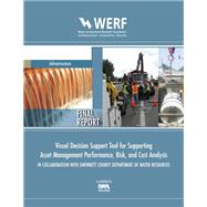 Visual Decision Support Tool for Supporting Asset Management Performance, Risk, and Cost Analysis In Collaboration with Gwinnett County Department of Water Resources