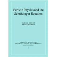 Particle Physics and the SchrÃ¶dinger Equation
