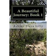 A Beautiful Journey