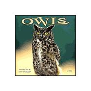 Owls 2002 Calendar