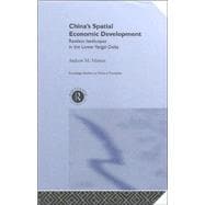 China's Spatial Economic Development: Regional Transformation in the Lower Yangzi Delta