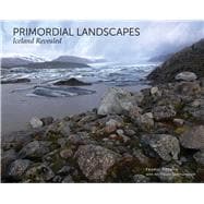 Primordial Landscapes