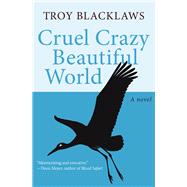 Cruel Crazy Beautiful World A Novel