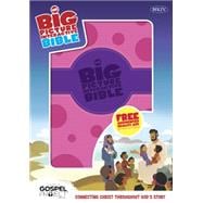 The NKJV Big Picture Interactive Bible, Purple/Pink Polka Dot LeatherTouch Connecting Christ Throughout God's Story