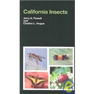 California Insects