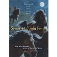 Secret of the Night Ponies