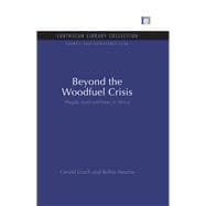Beyond the Woodfuel Crisis: People, land and trees in Africa