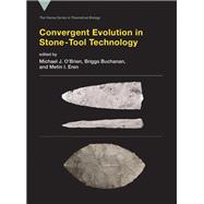 Convergent Evolution in Stone-tool Technology