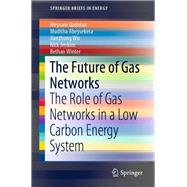 The Future of Gas Networks